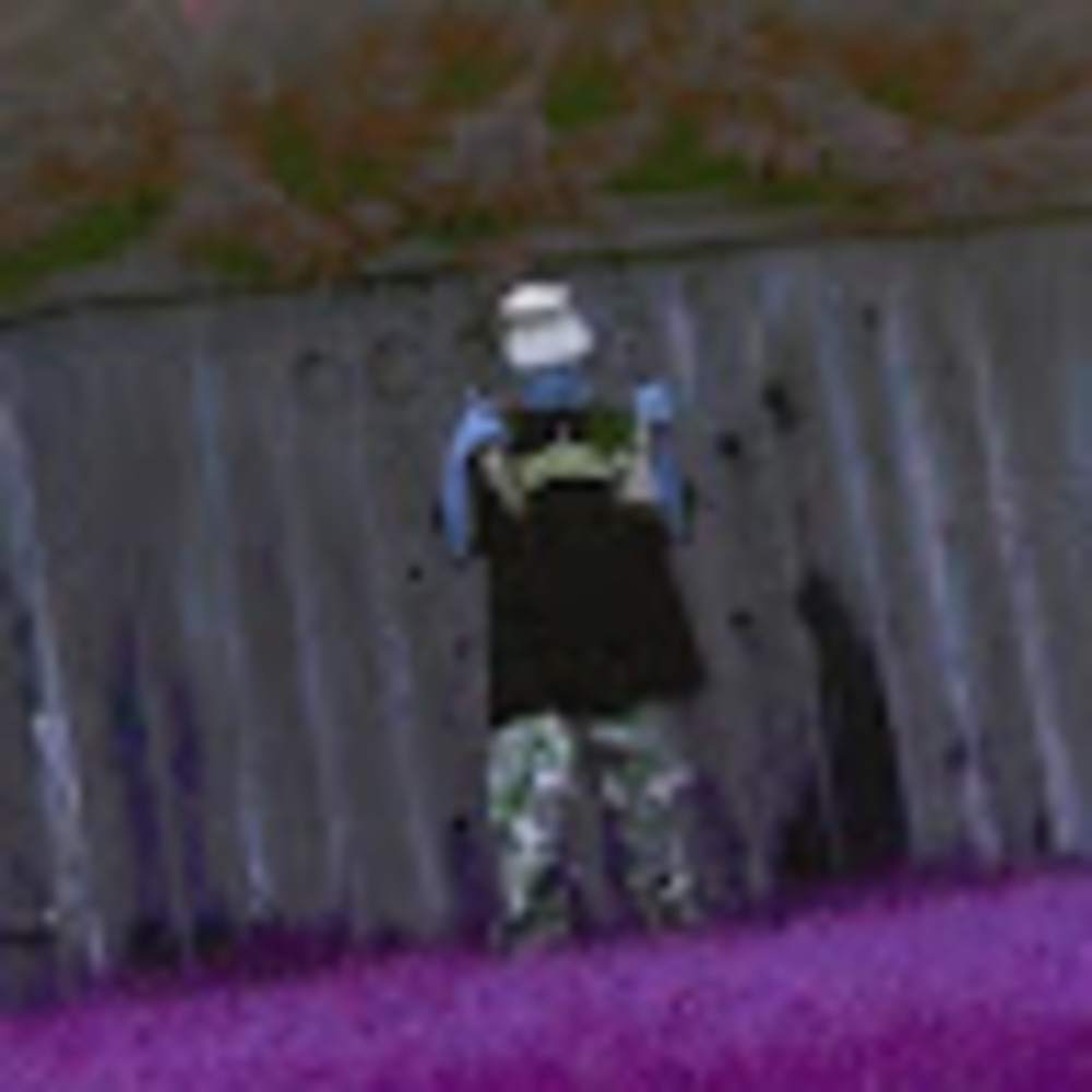 Meet your Posher, Lil